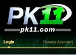 PK11 Game
